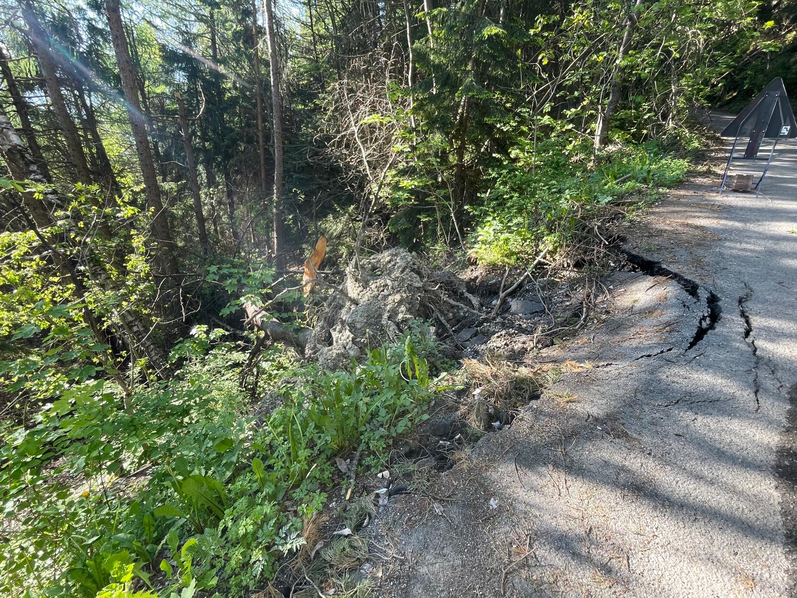 Scheda di dettaglio Roisod